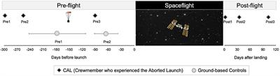 Case Report: No Evidence of Intracranial Fluid Shifts in an Astronaut Following an Aborted Launch